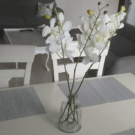 Apartment Fantastico Playa